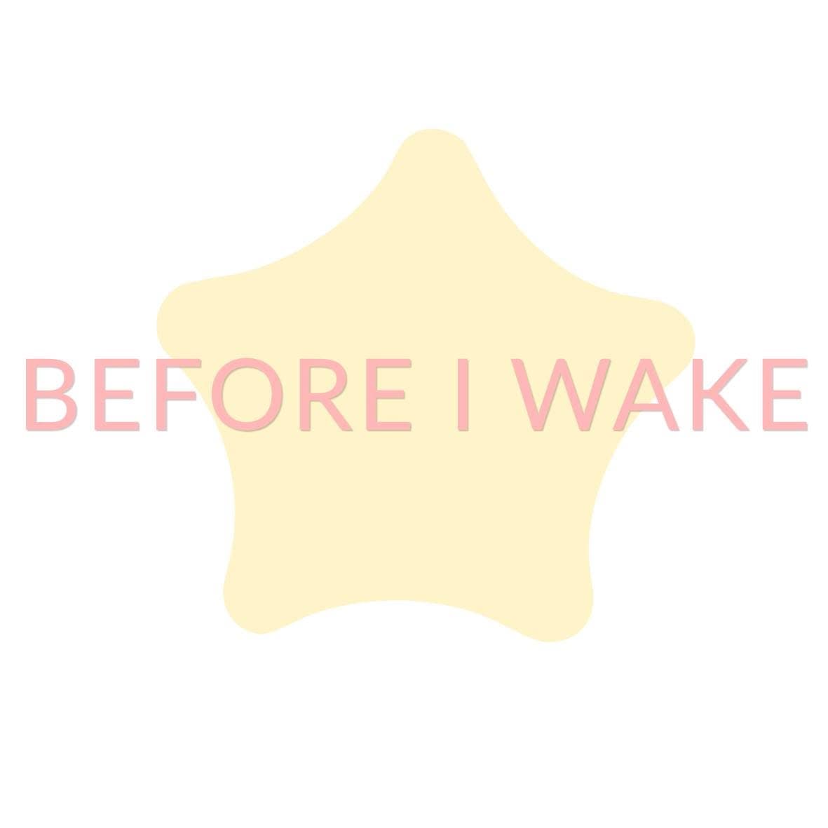 Before I Wake logo
