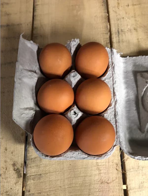 Half Dozen Eggs