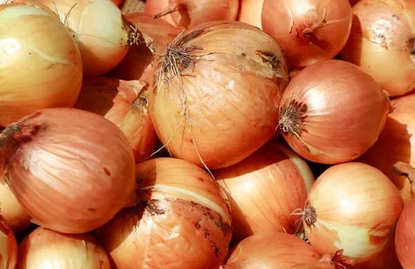 Onions
