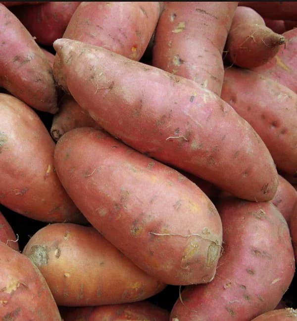Sweet Potatoes