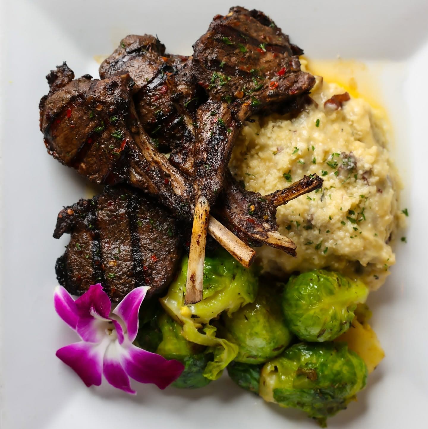Jerk Lamb Chops