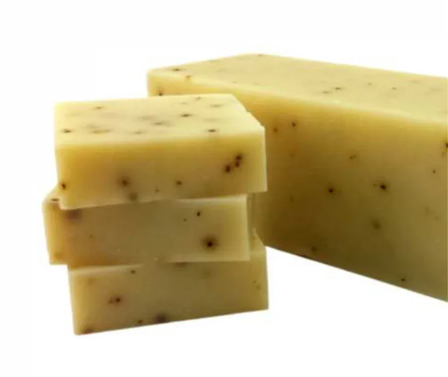 CoCoXOs Breathe Eucalyptus Aloe Soap Bars