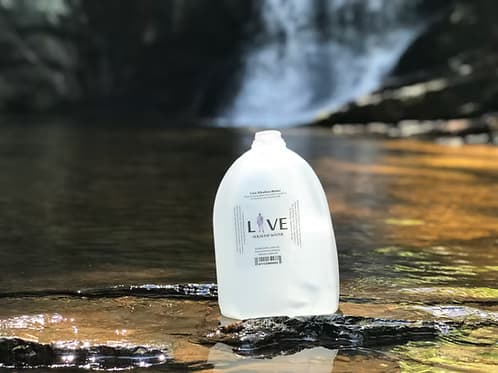 Live Alkaline Gallons (Case of 4)