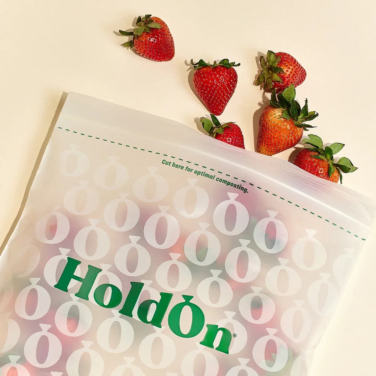 HoldOn Compostable Zipseal Gallon Bags