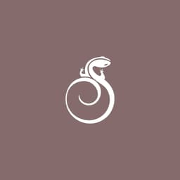 Salamander Middleburg logo
