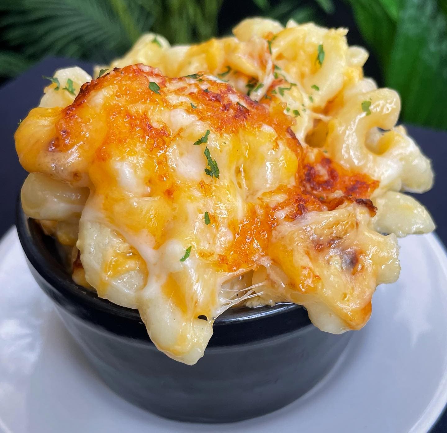 Baked Macaroni & Cheese (V)