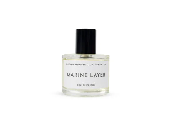 MARINE LAYER EDP