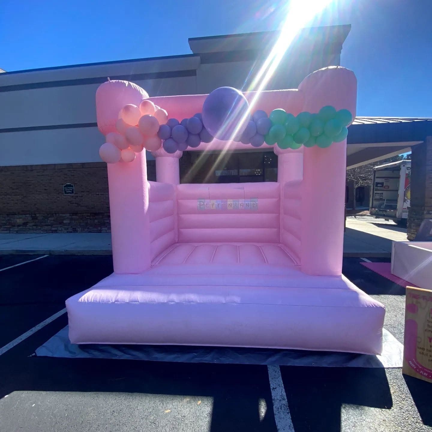 Pink Castle Mod Top