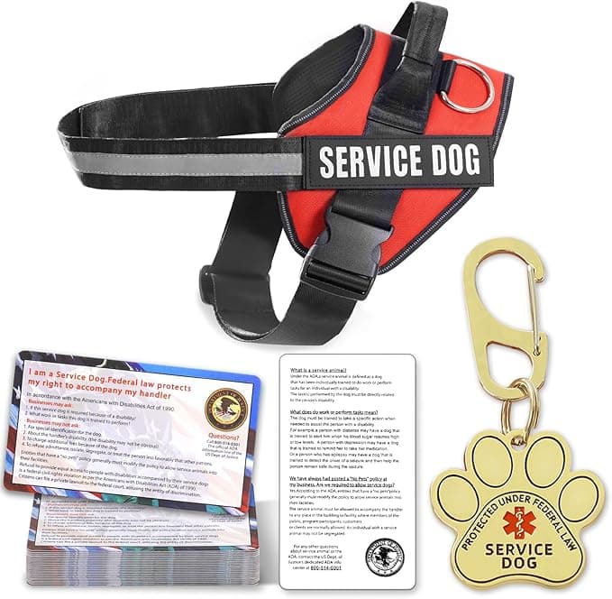 Service Dog Vest, ID Tag + 50 ADA Information Cards, Service Dog Harness in Sizes X Small to XX Large, Metal Dog Tag has Ruggedized Clip, 2-Sided Service Animal Cards,ESA Accessory Set Small